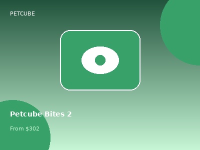Petcube Bites 2